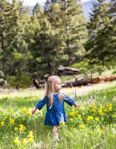 Littleton family child photographer Mt. Falcon park Colorado mountain wildflowers photography little girl twirling photo session