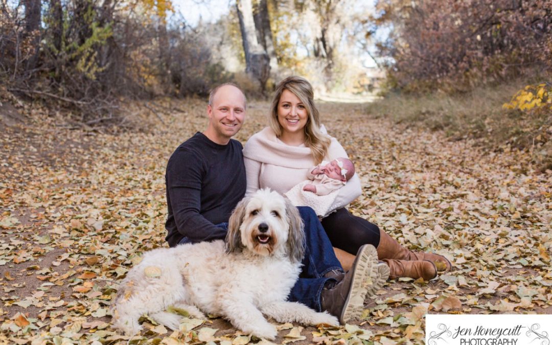 The {S} family of 3 at Fly’N B Park in Highlands Ranch by an affordable Littleton photographer near me